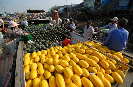Vietnam Highlight Tour - 15 Days
